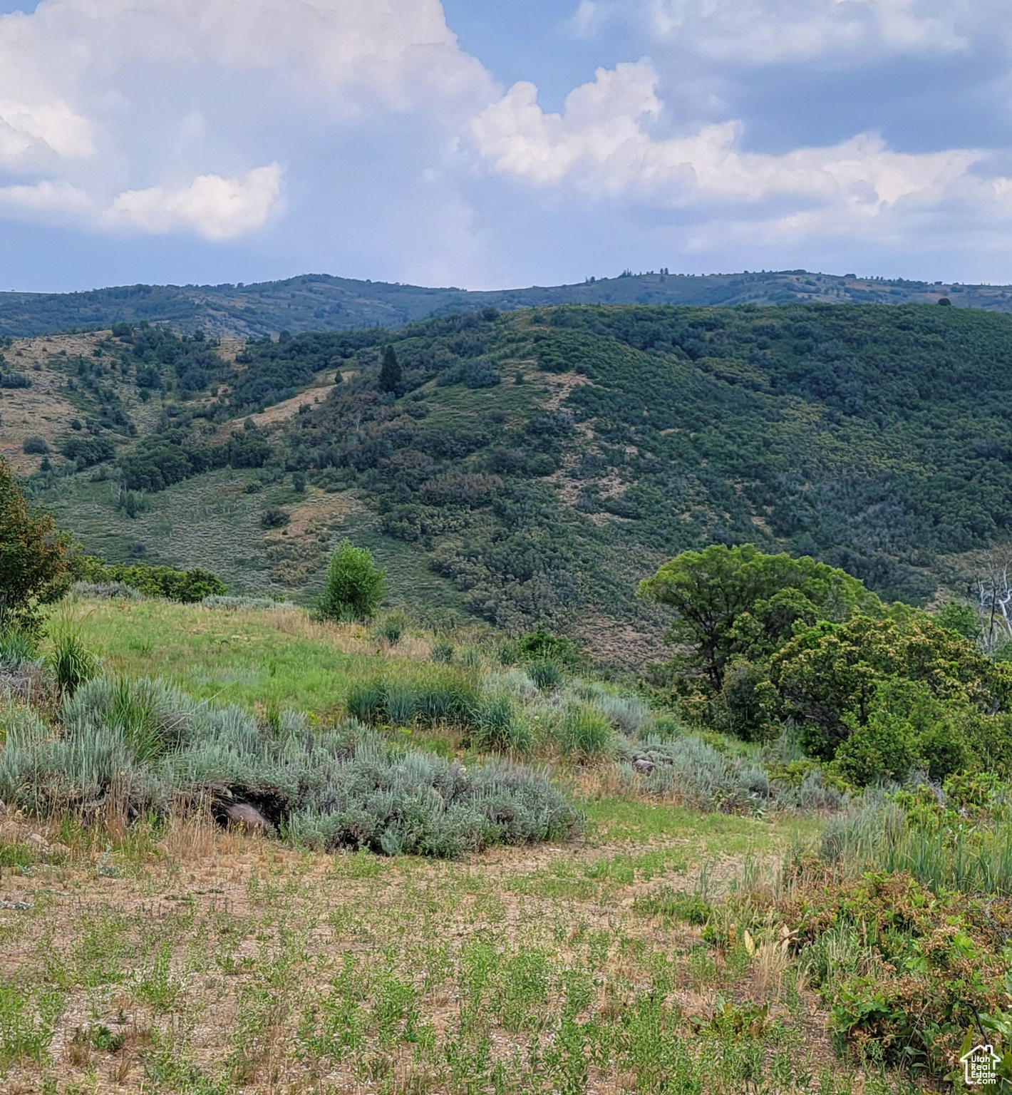120 N BEAVER CREEK HOA Unit: 120