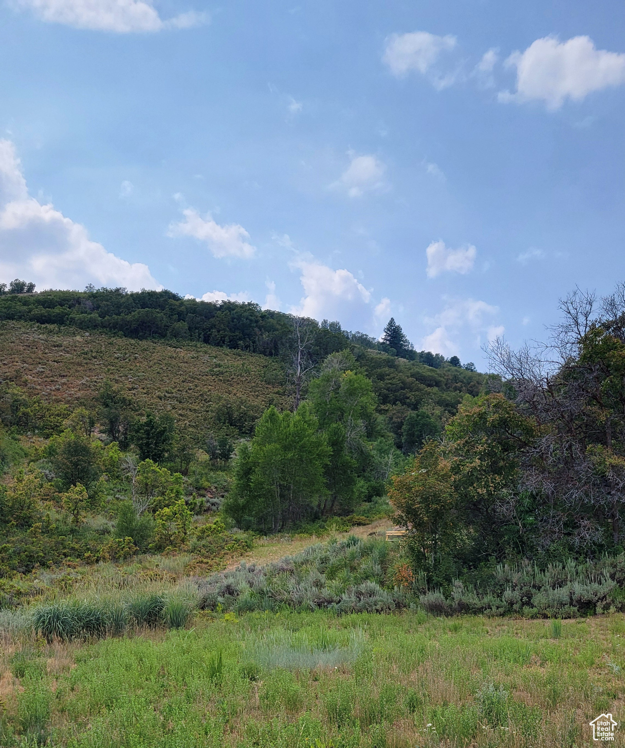 120 N BEAVER CREEK HOA Unit: 120