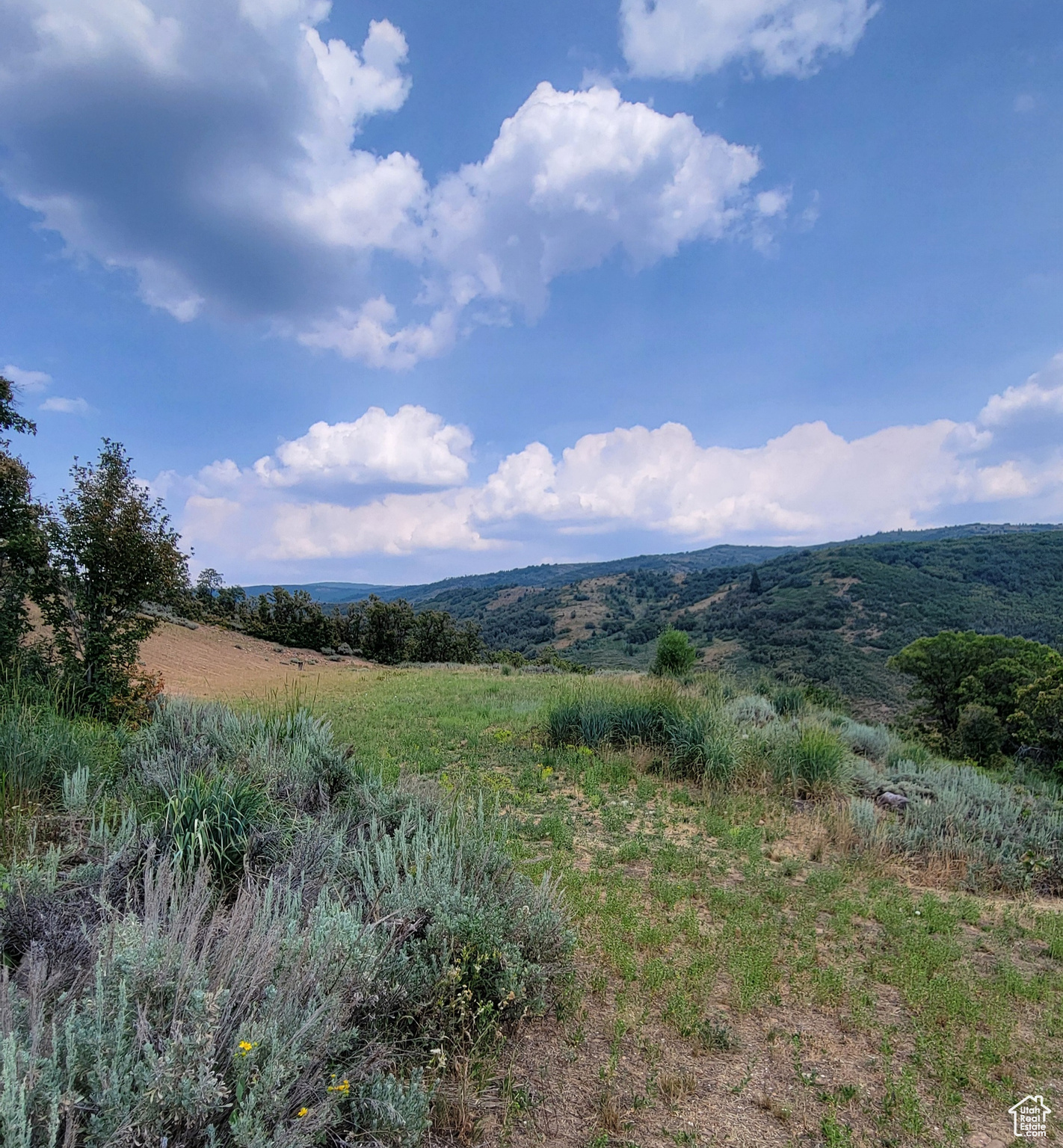 120 N BEAVER CREEK HOA Unit: 120