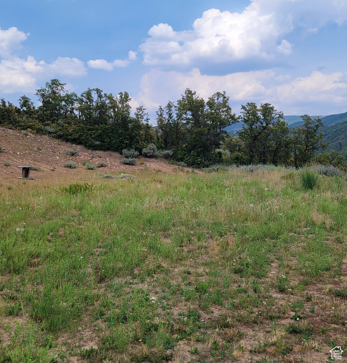 120 N BEAVER CREEK HOA Unit: 120