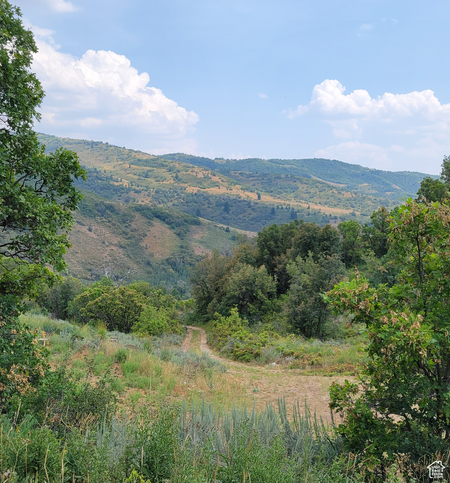 120 N BEAVER CREEK HOA Unit: 120