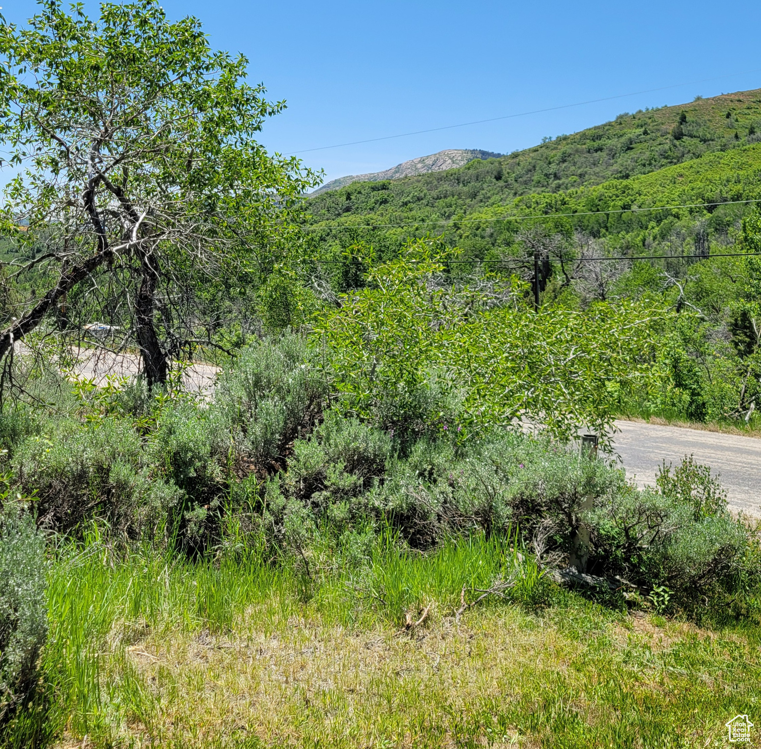 3252 N EVERGREEN PARK DR Unit: 288