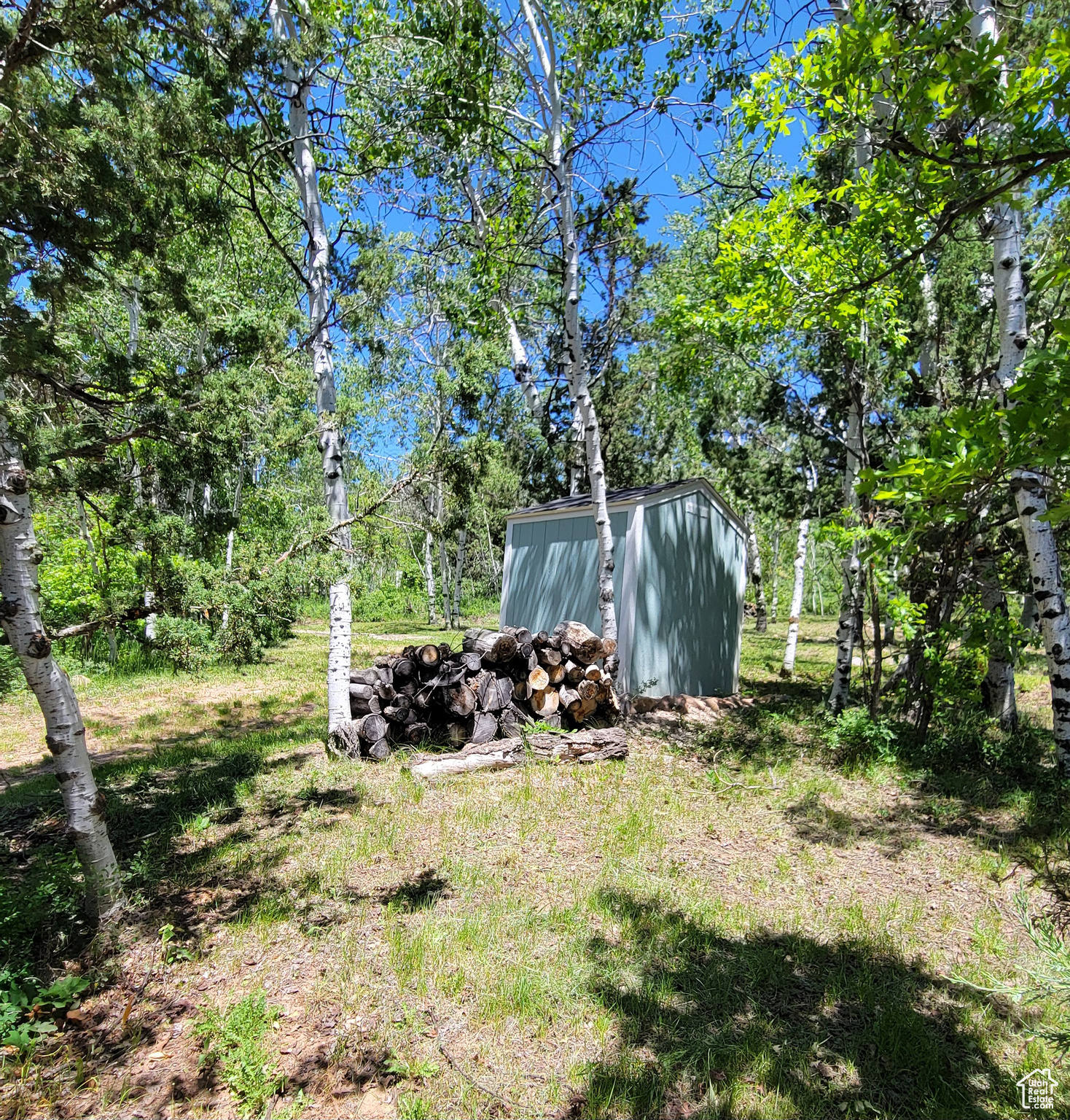 3252 N EVERGREEN PARK DR Unit: 288