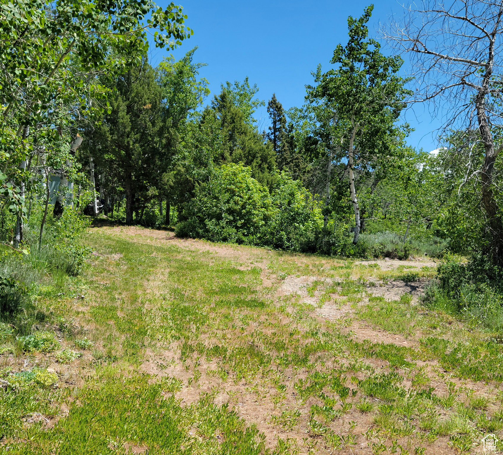 3252 N EVERGREEN PARK DR Unit: 288
