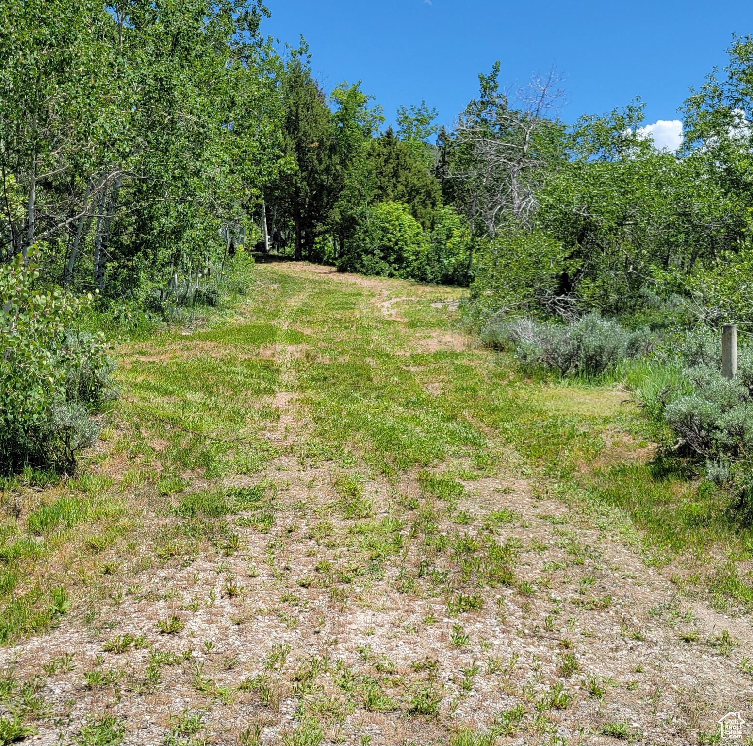 3252 N EVERGREEN PARK DR Unit: 288