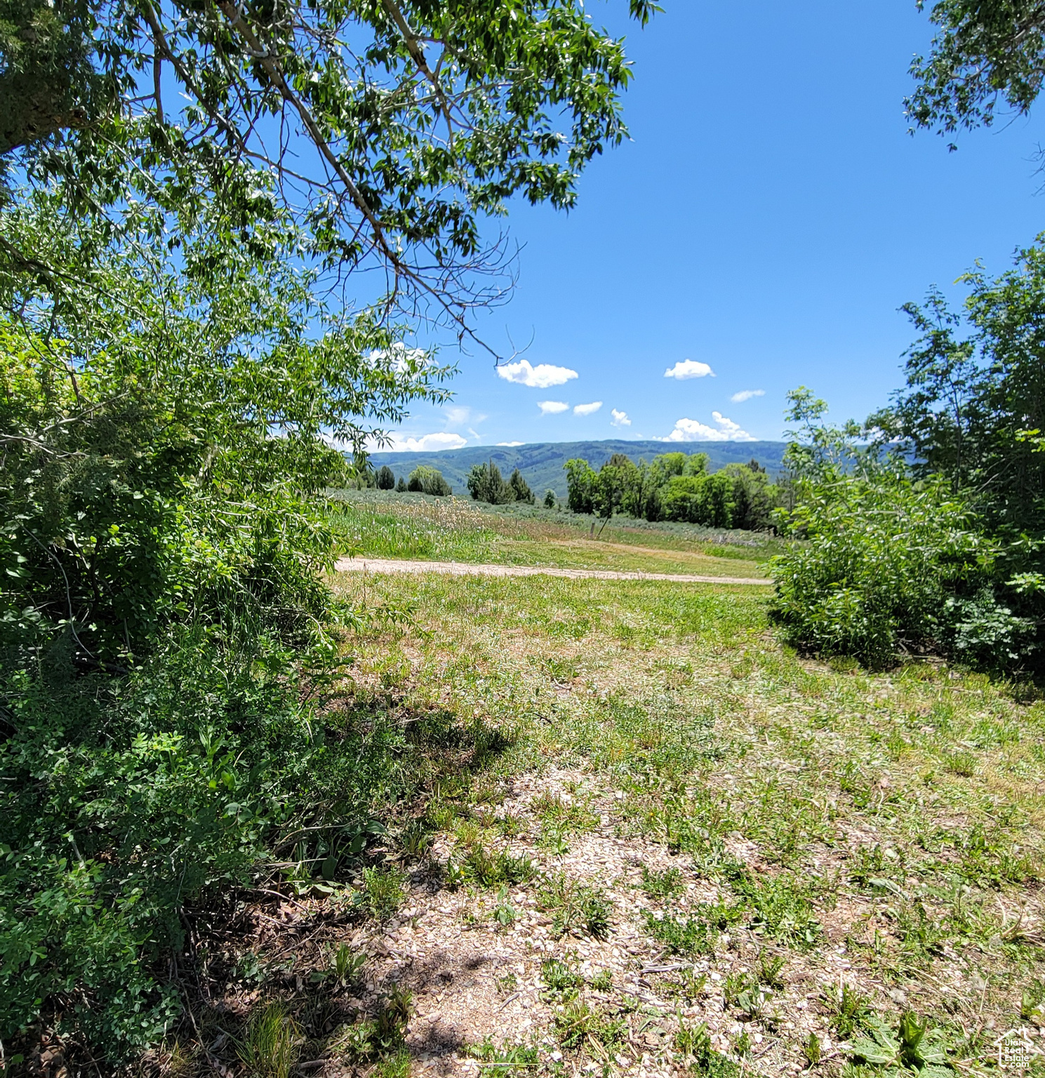 3252 N EVERGREEN PARK DR Unit: 288