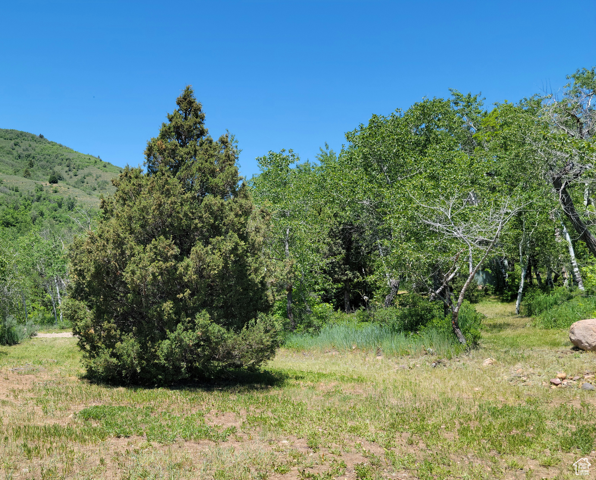 3252 N EVERGREEN PARK DR Unit: 288