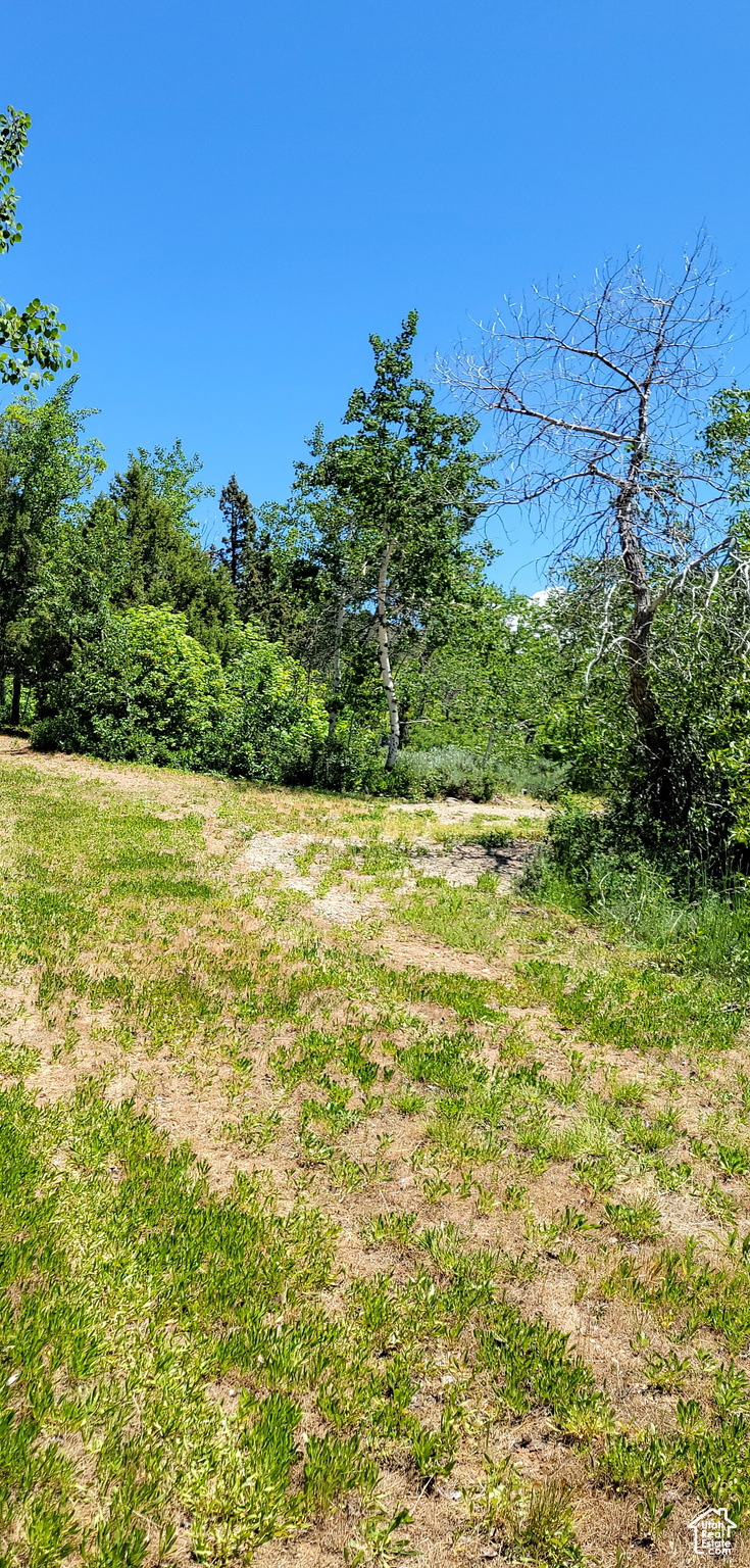 3252 N EVERGREEN PARK DR Unit: 288