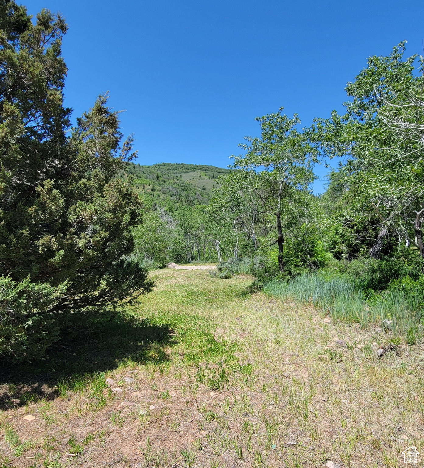 3252 N EVERGREEN PARK DR Unit: 288