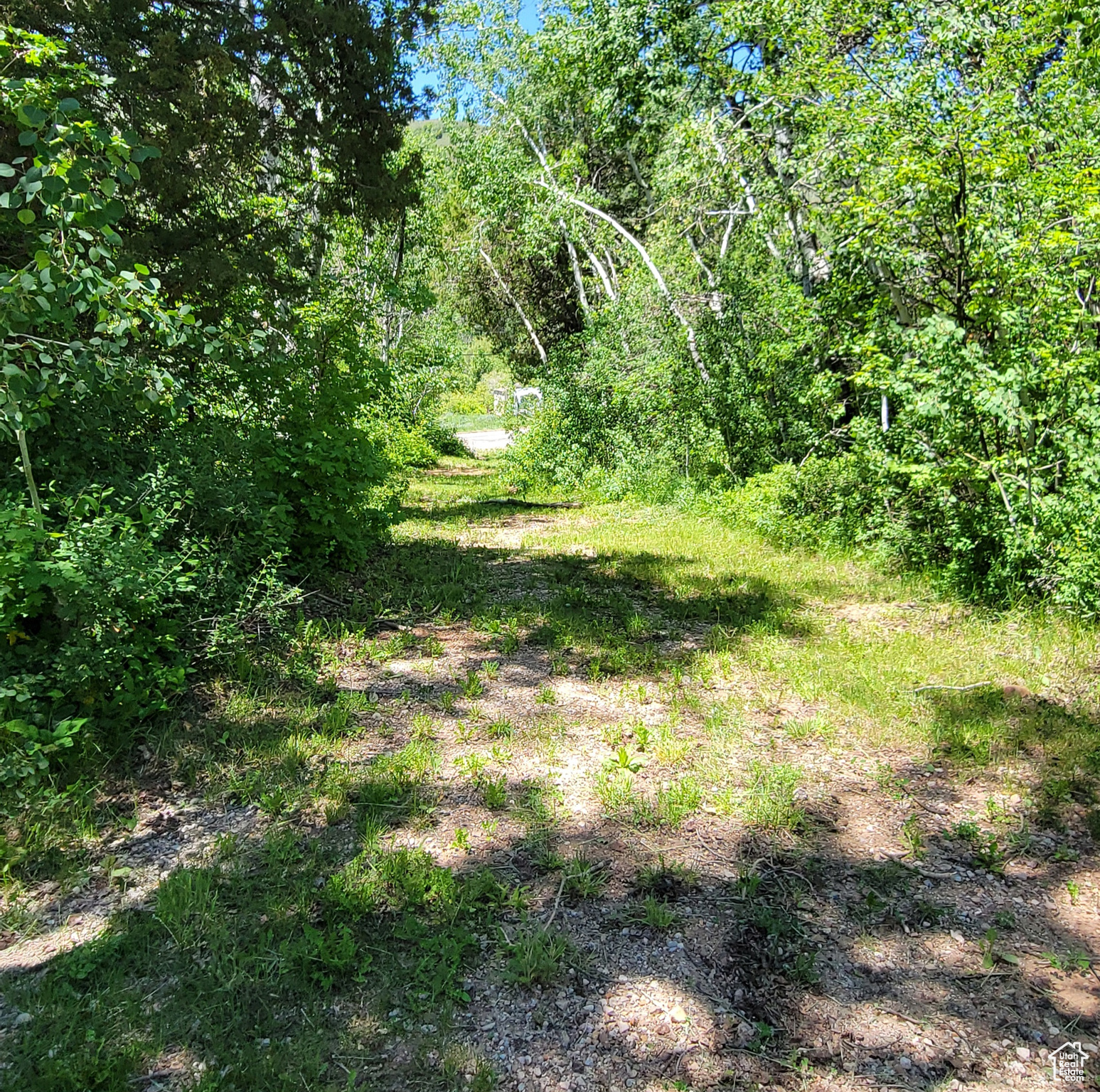 3252 N EVERGREEN PARK DR Unit: 288