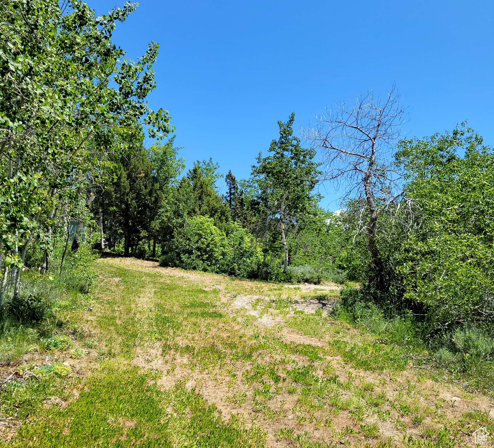 3252 N EVERGREEN PARK DR Unit: 288