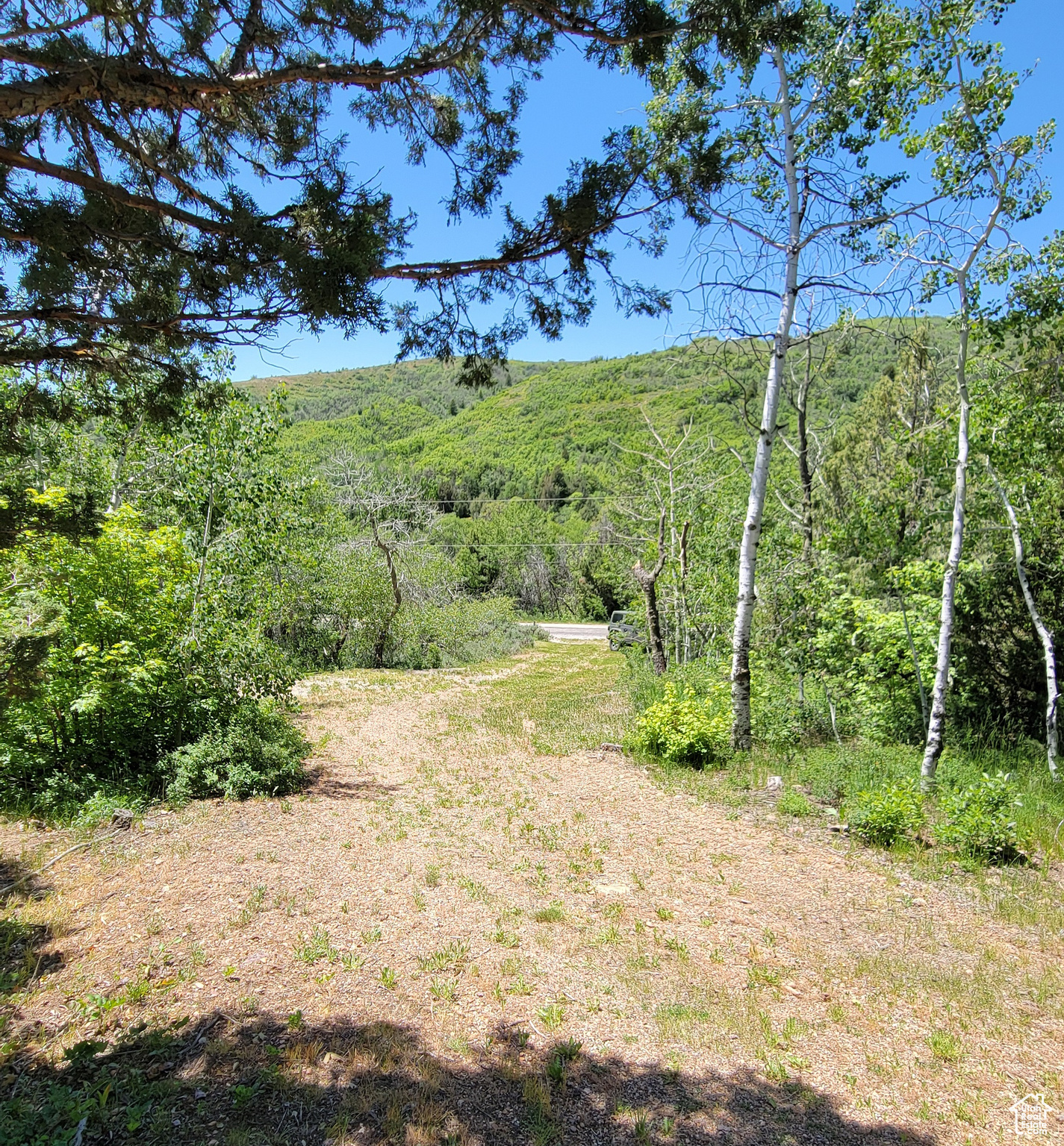 3252 N EVERGREEN PARK DR Unit: 288