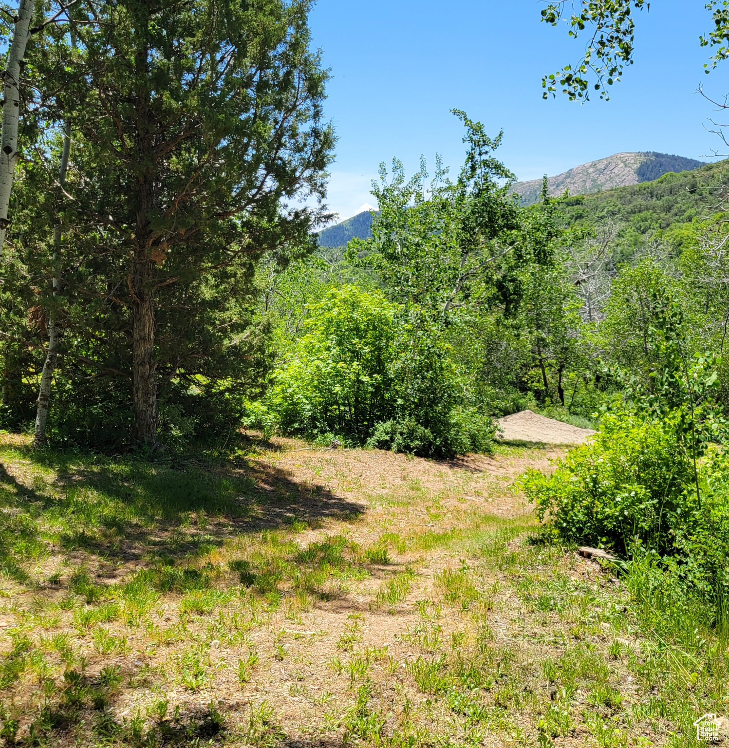 3252 N EVERGREEN PARK DR Unit: 288