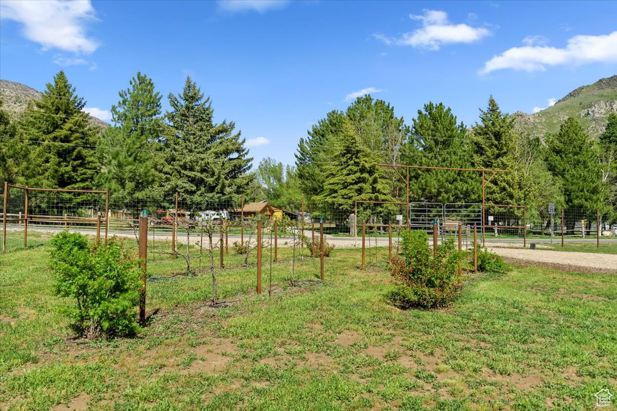 145 N 10450 E