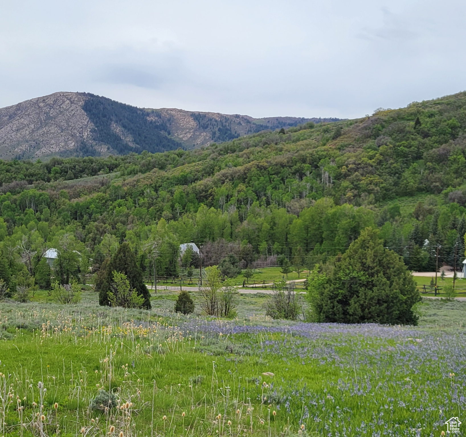 3103 PINE WAY Unit: 384