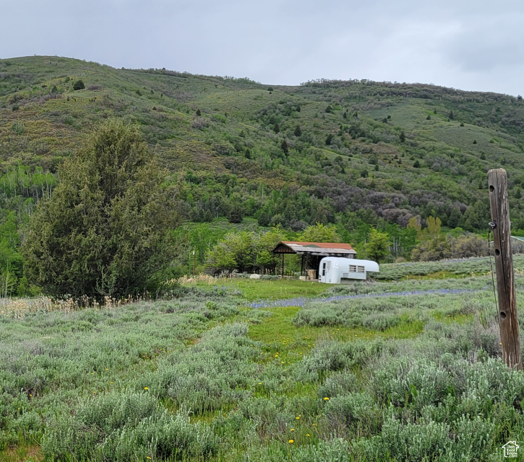 3103 PINE WAY Unit: 384
