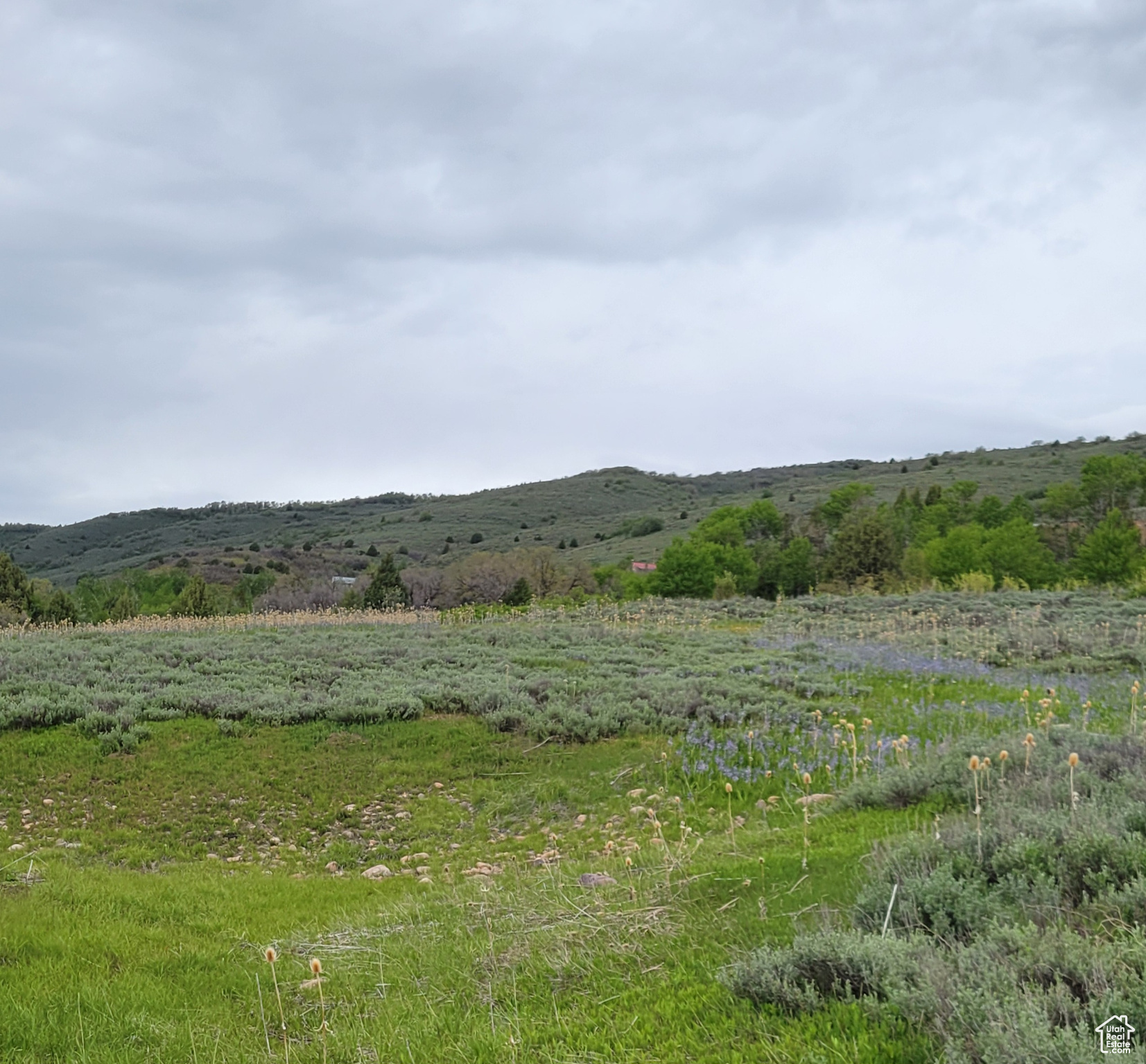 3103 PINE WAY Unit: 384