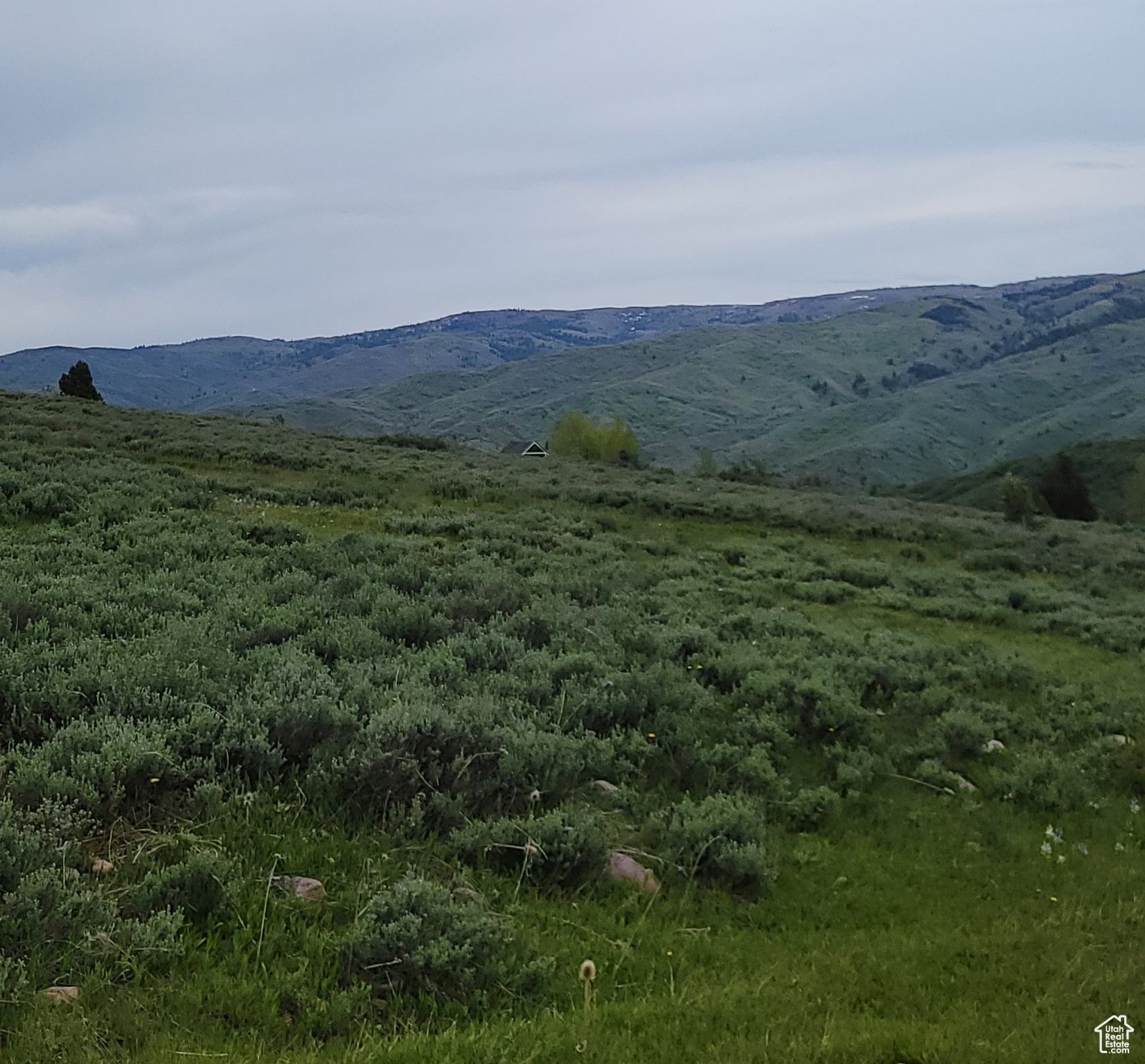 3103 PINE WAY Unit: 384
