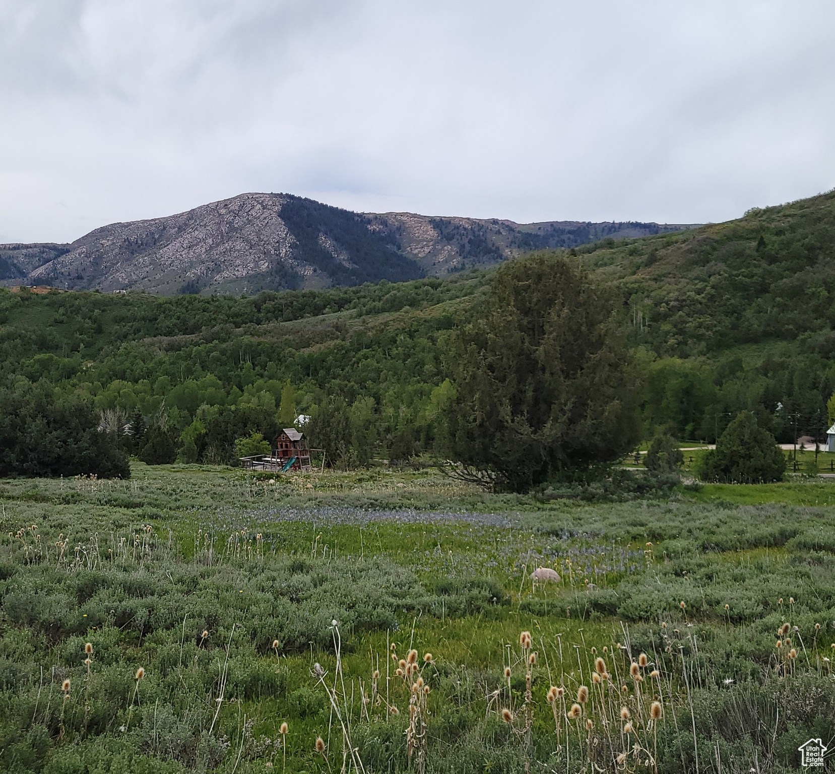 3103 PINE WAY Unit: 384