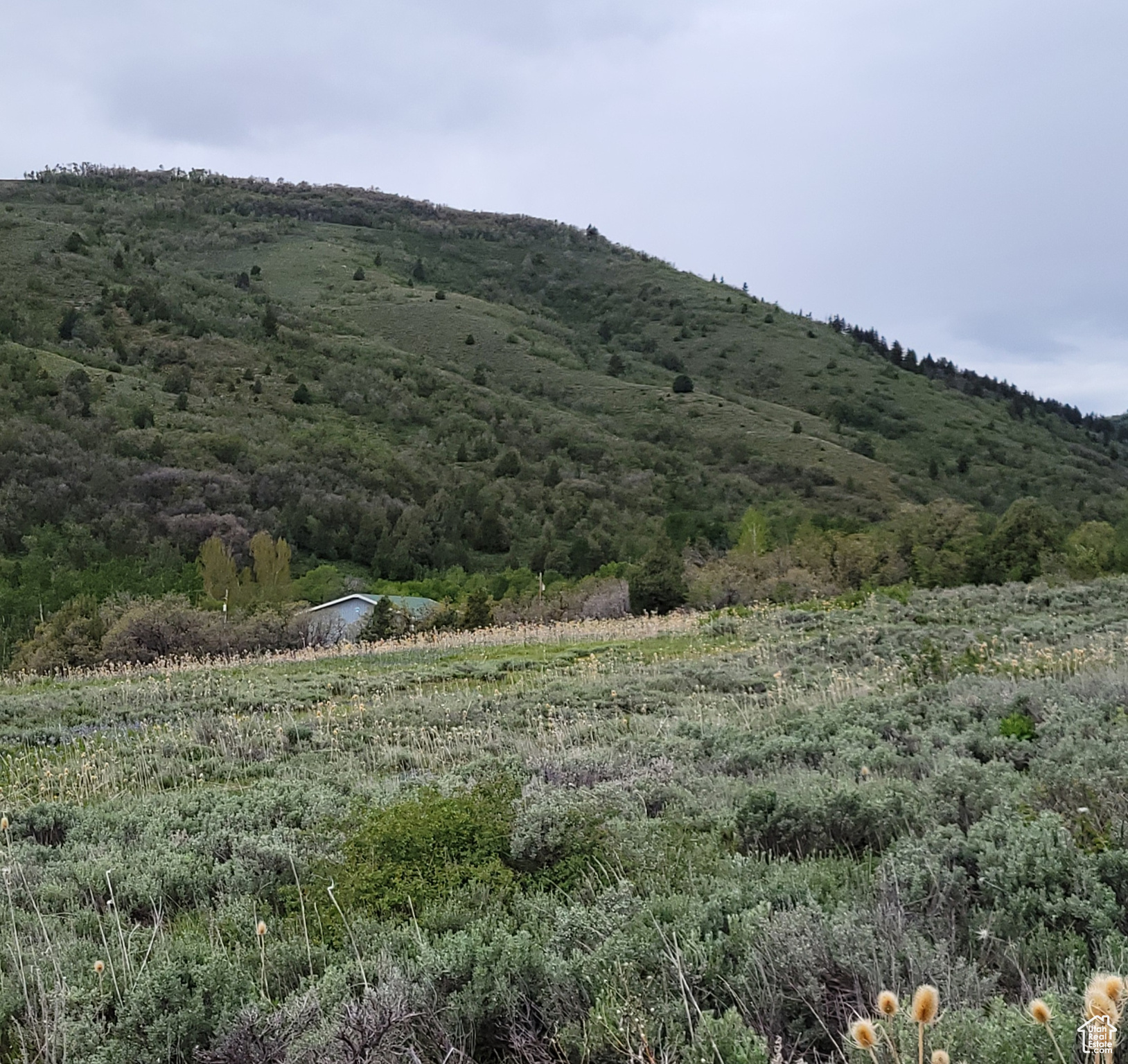 3103 PINE WAY Unit: 384