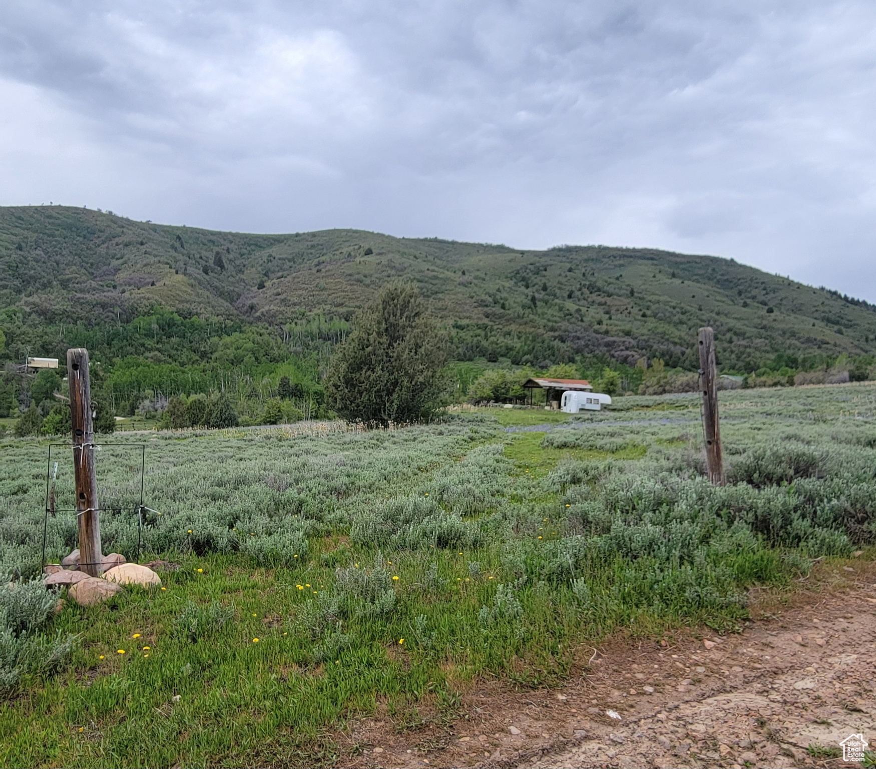 3103 PINE WAY Unit: 384