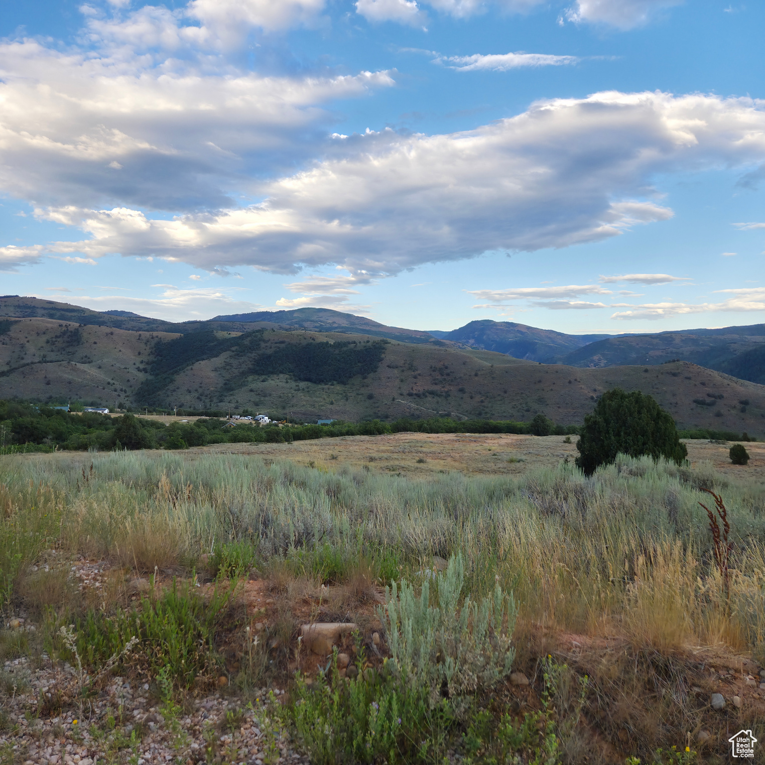 13319 E OAK CANYON RD Unit: 460