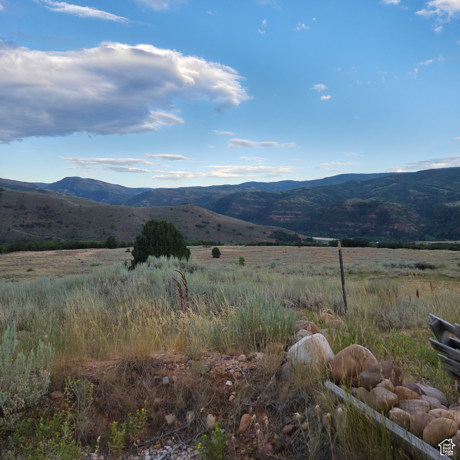 13319 E OAK CANYON RD Unit: 460