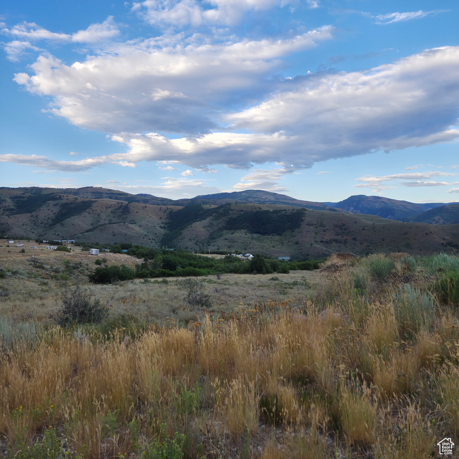 13319 E OAK CANYON RD Unit: 460