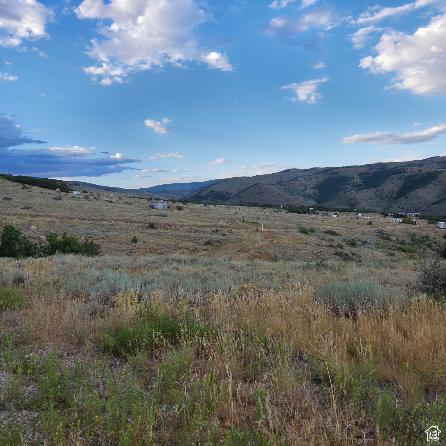 13319 E OAK CANYON RD Unit: 460