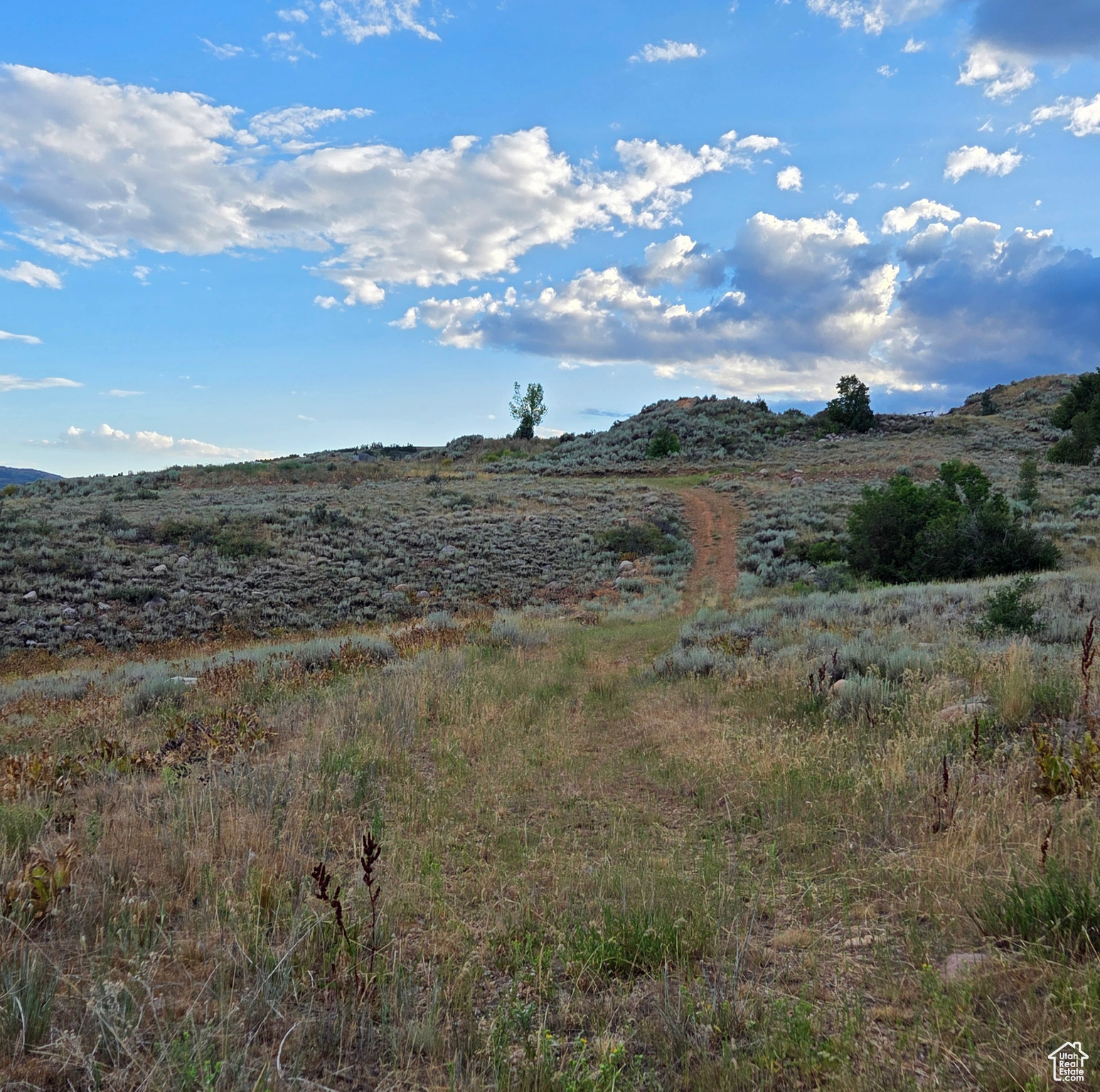 13319 E OAK CANYON RD Unit: 460