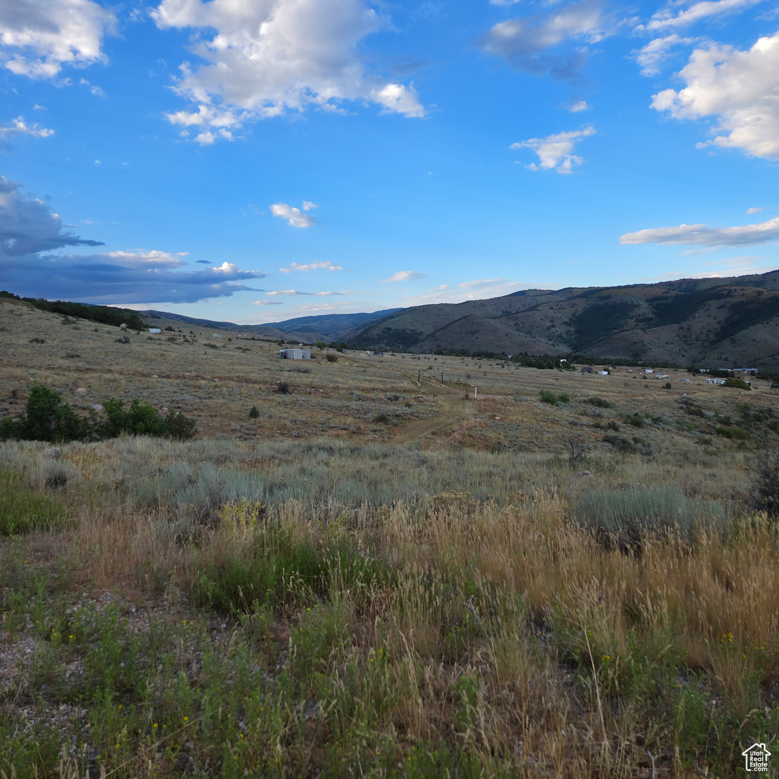 13319 E OAK CANYON RD Unit: 460