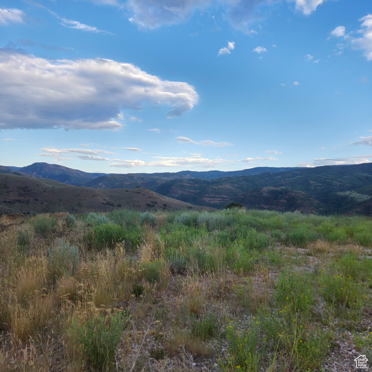 13319 E OAK CANYON RD Unit: 460