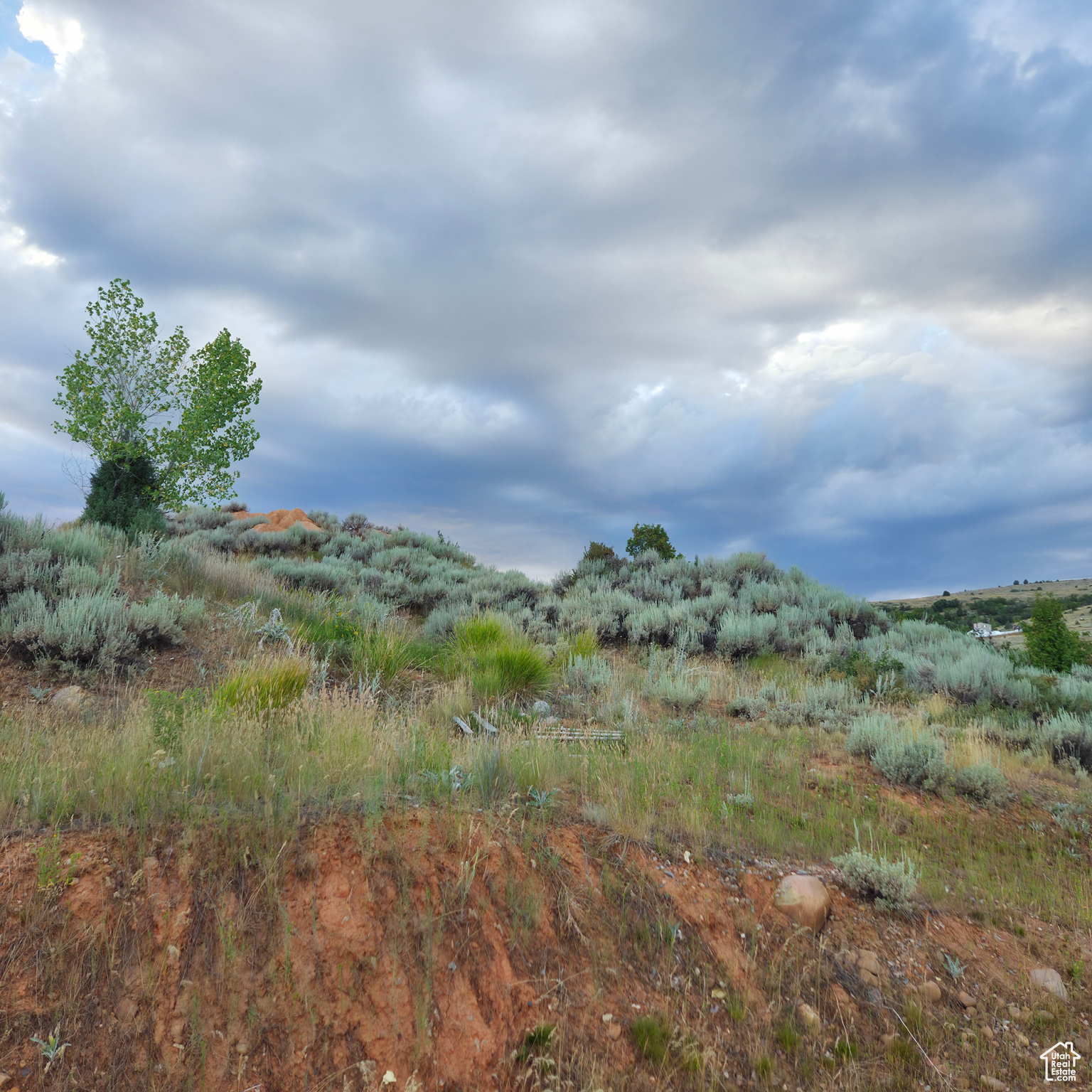 13319 E OAK CANYON RD Unit: 460