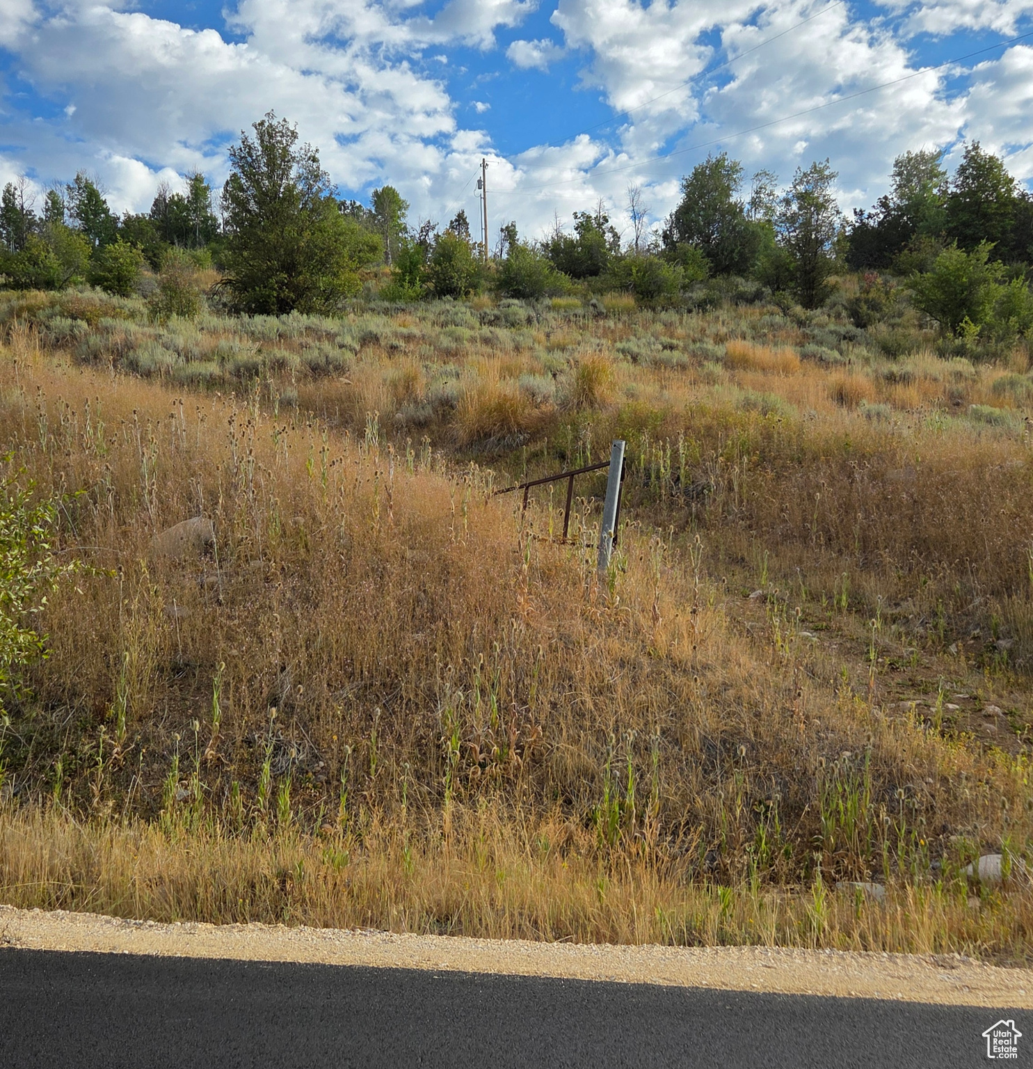 13184 E EVERGREEN PARK DR