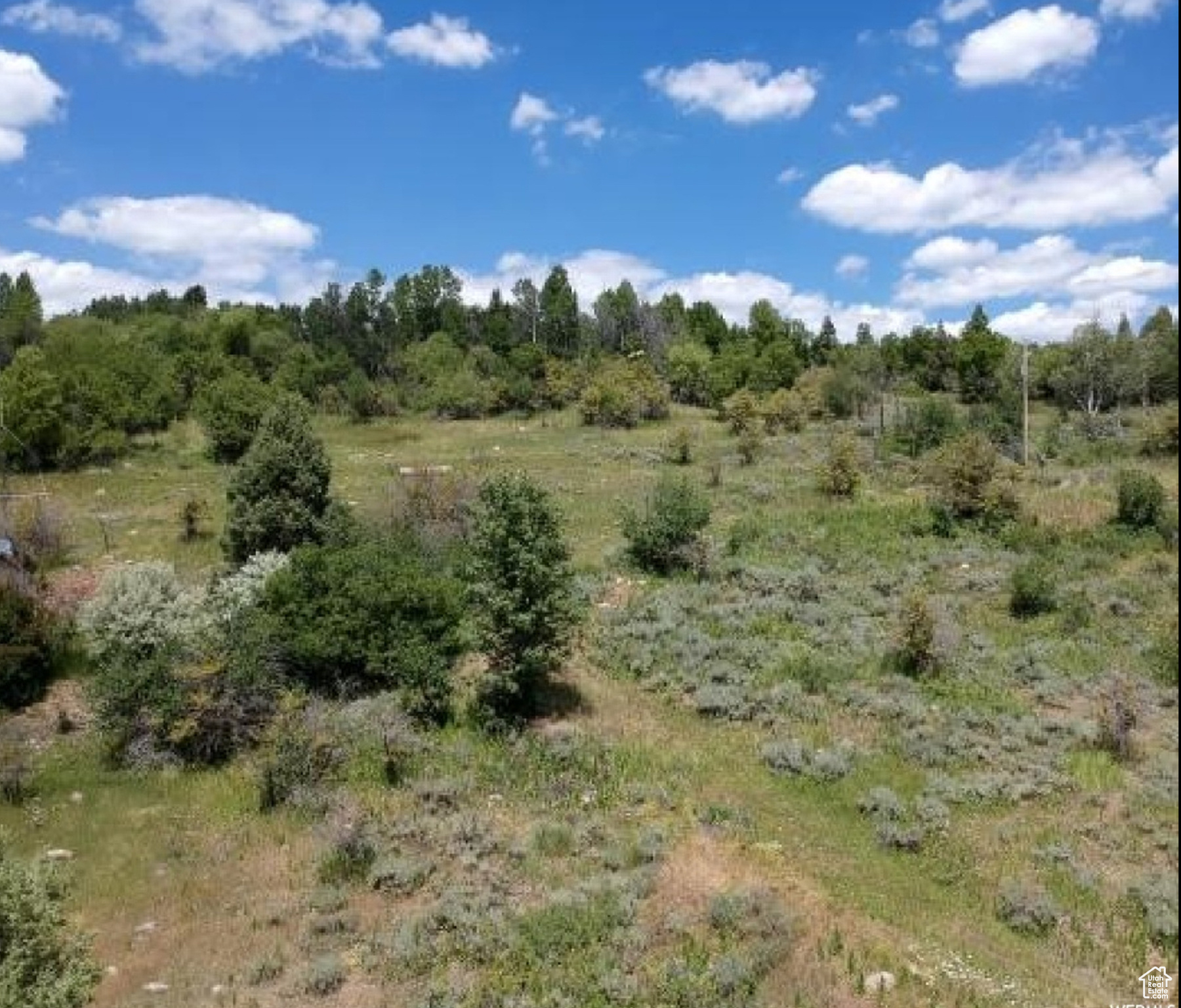 13184 E EVERGREEN PARK DR