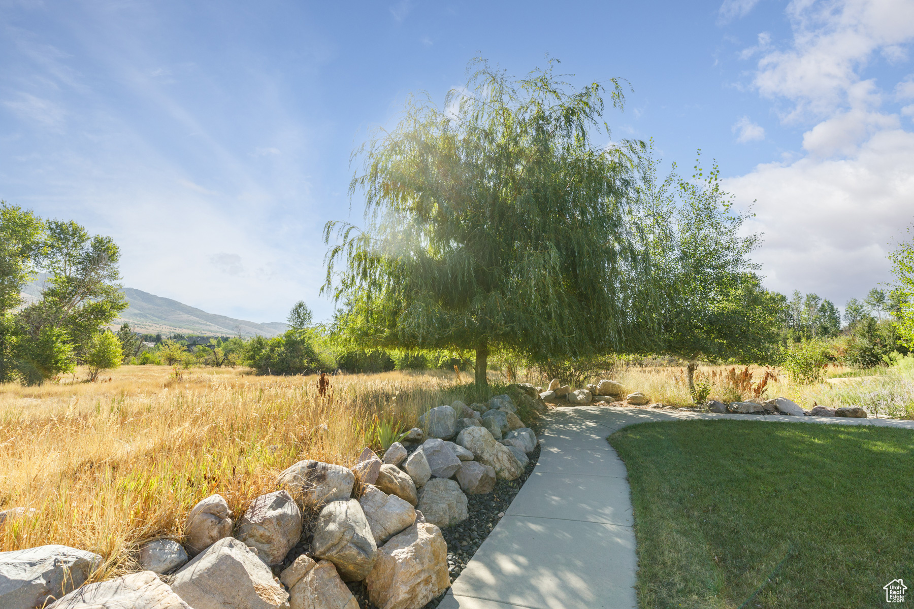 3844 N PATIO SPRINGS DR