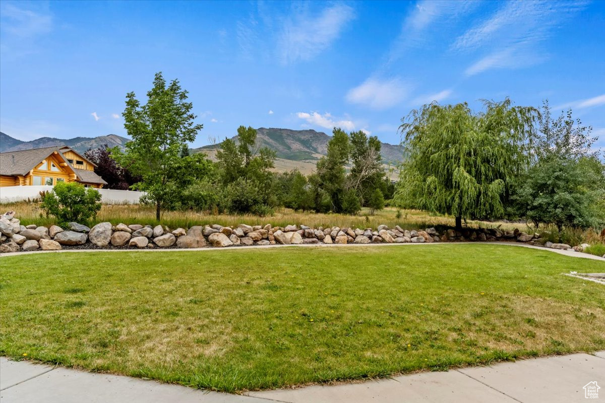 3844 N PATIO SPRINGS DR