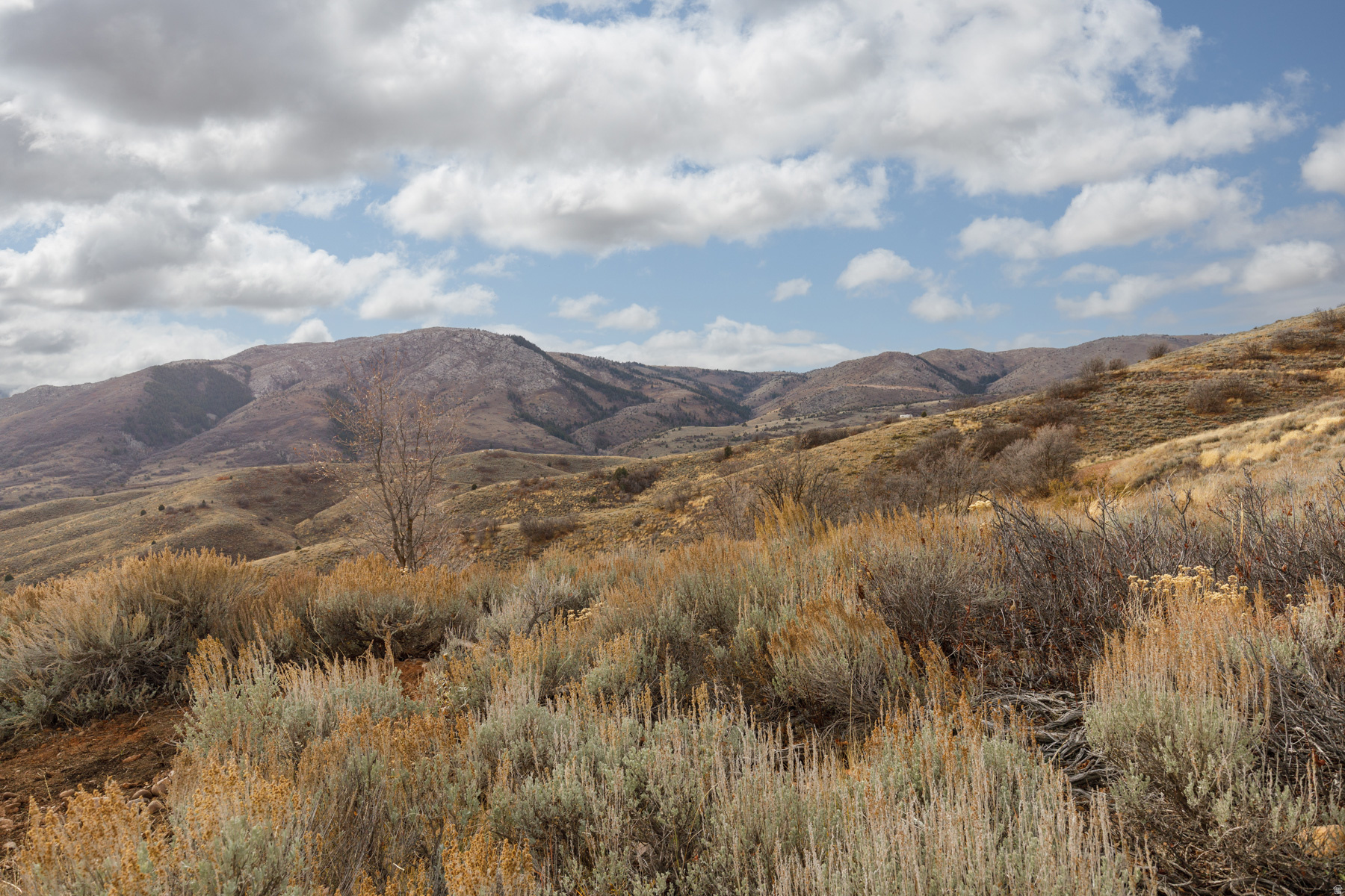 12898 E HIGH PINE CIR Unit: 176