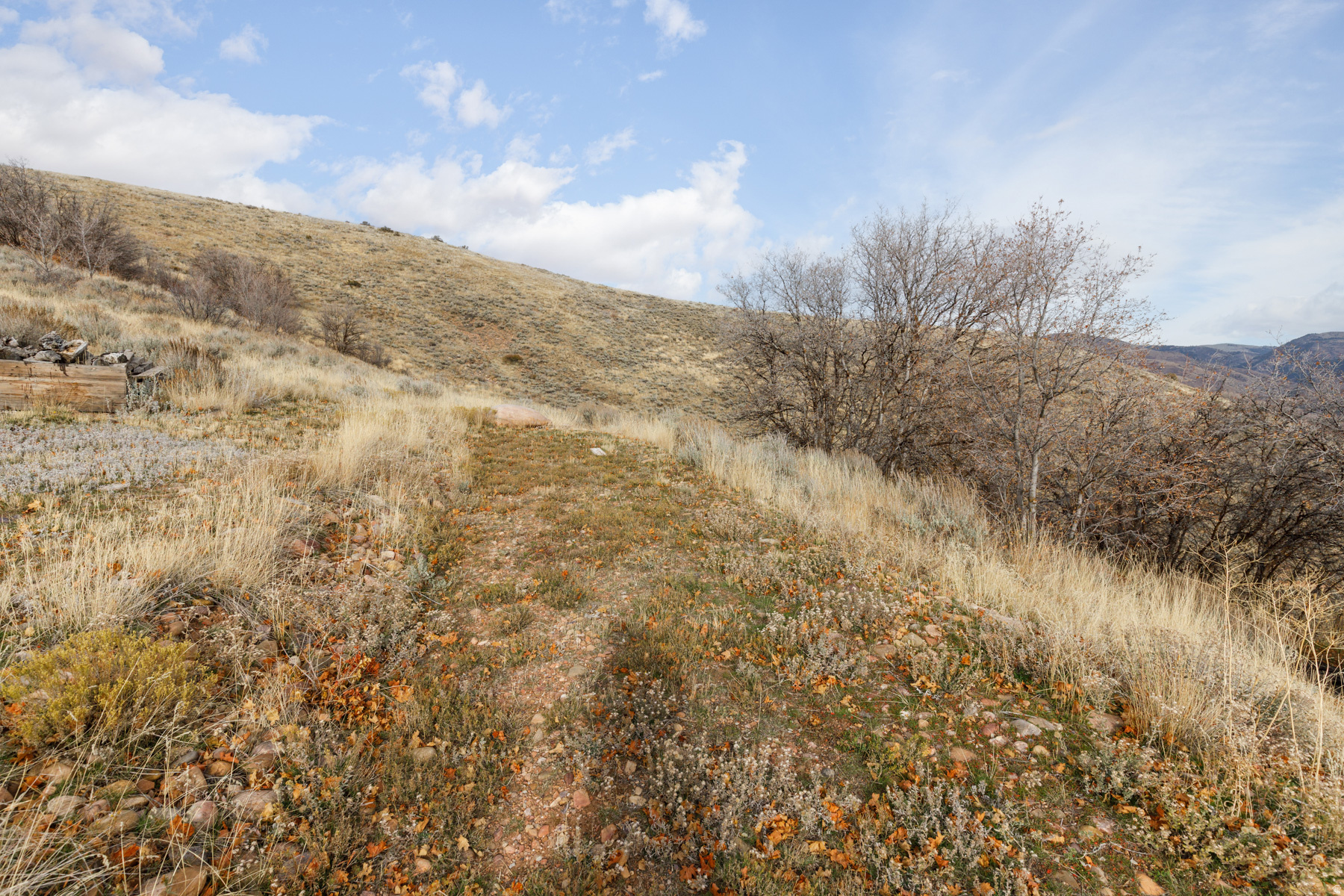 12898 E HIGH PINE CIR Unit: 176
