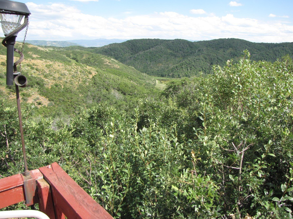 12602 SKYLINE RD Unit: 130