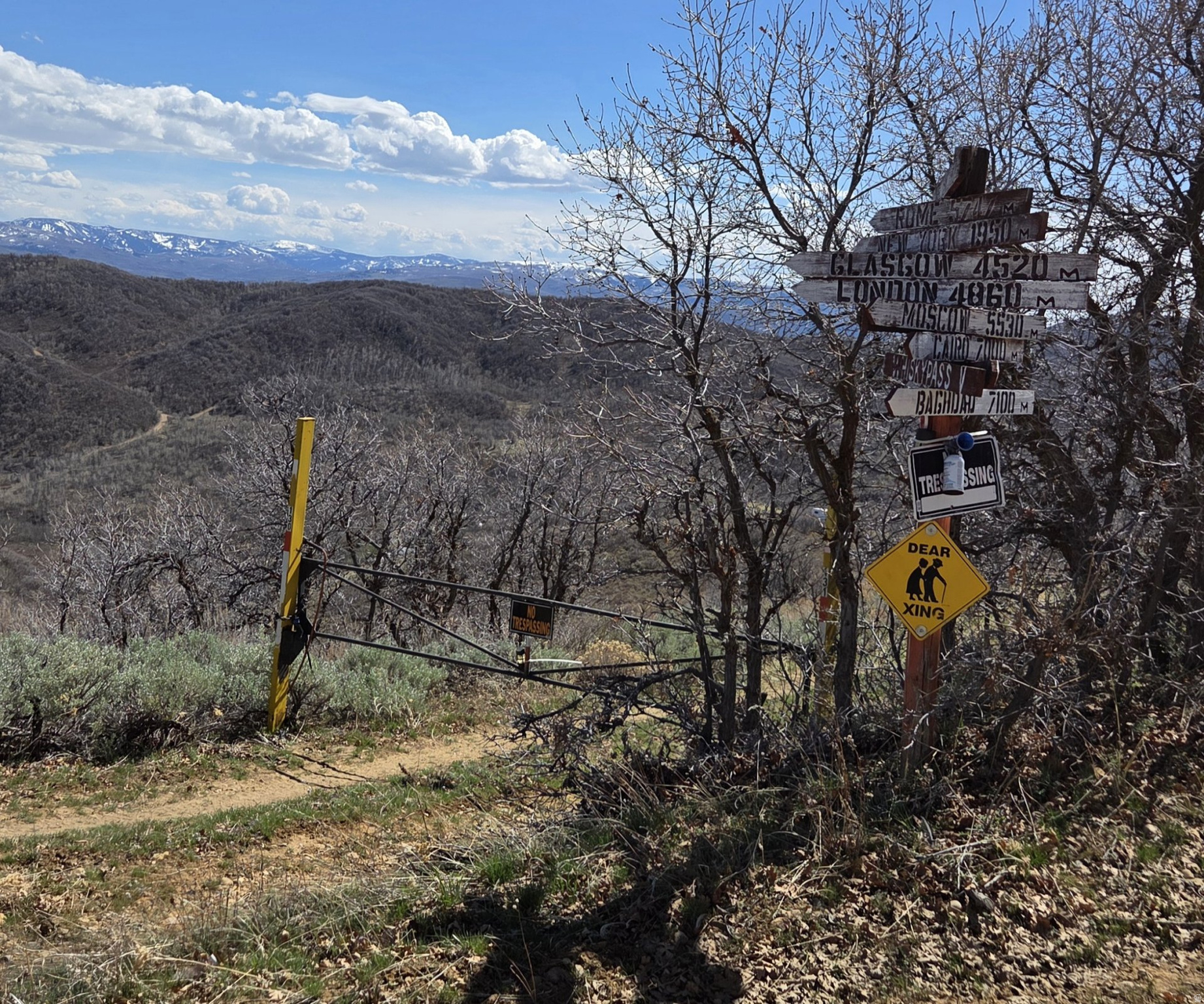 12602 SKYLINE RD Unit: 130