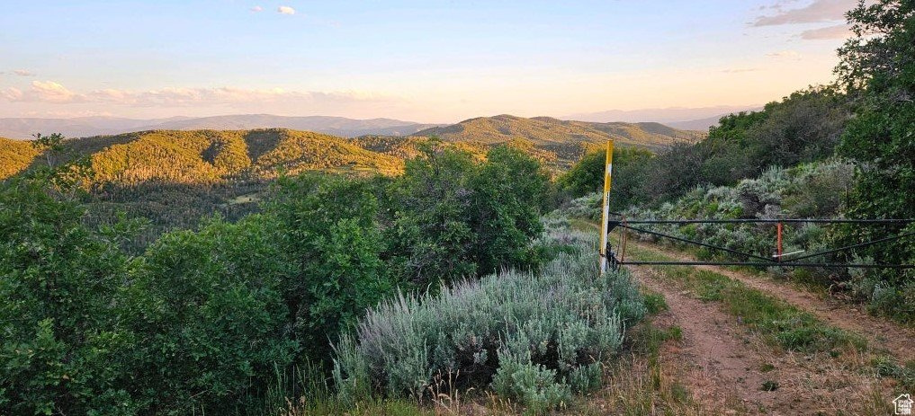 12602 SKYLINE RD Unit: 130