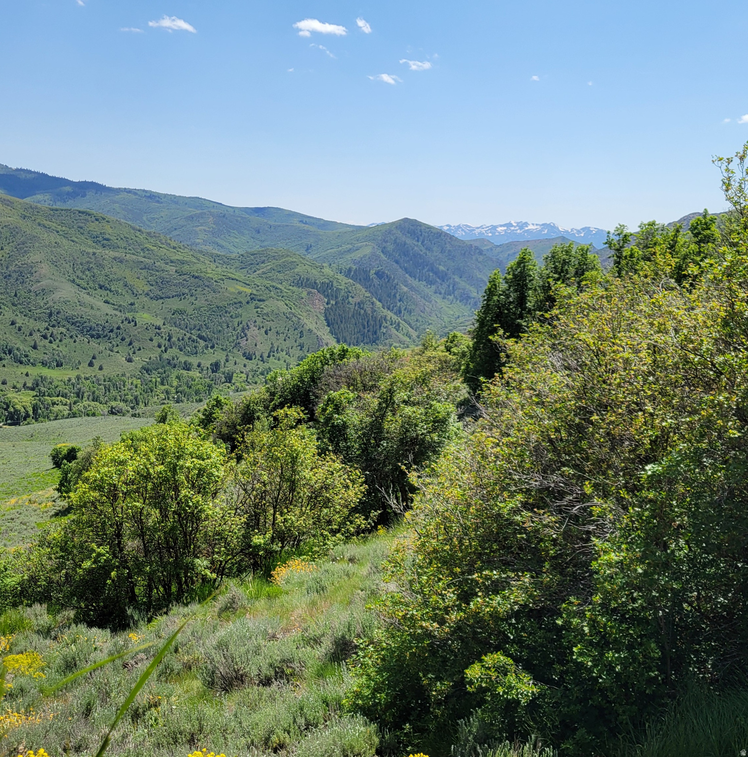 12737 E HIGH PINE CIR Unit: 54