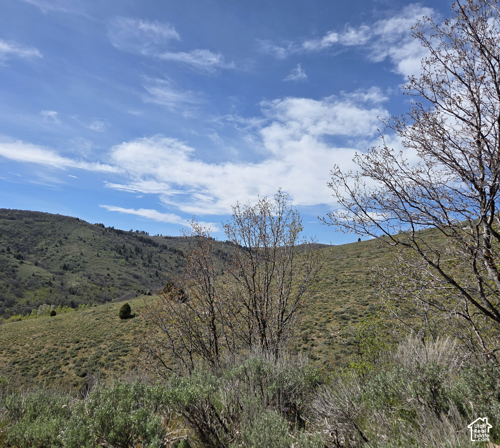 3325 N OAK CYN Unit: 490