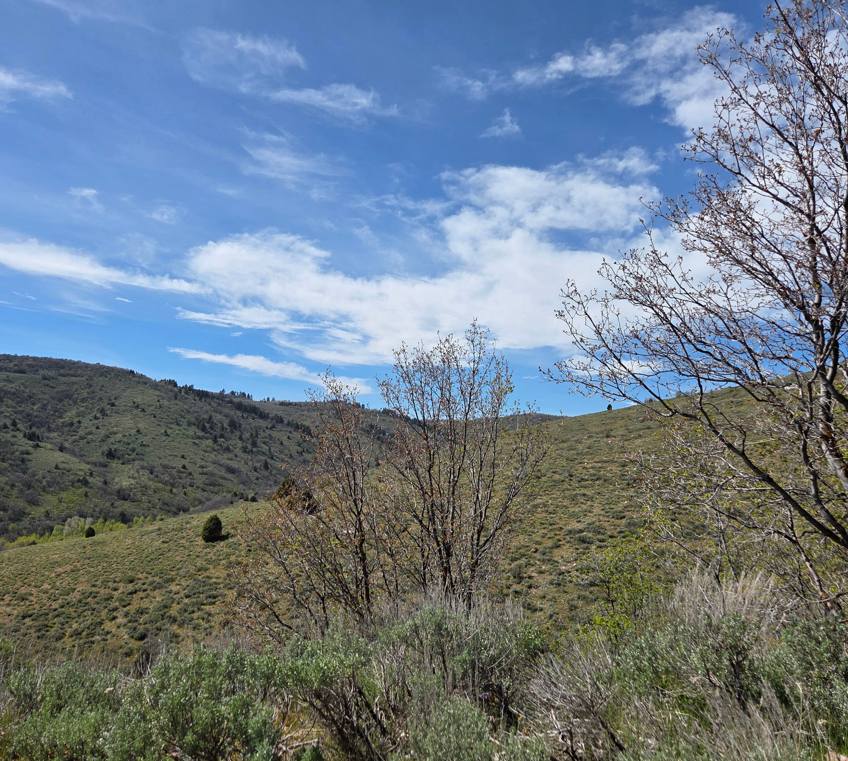 3325 N OAK CYN Unit: 490