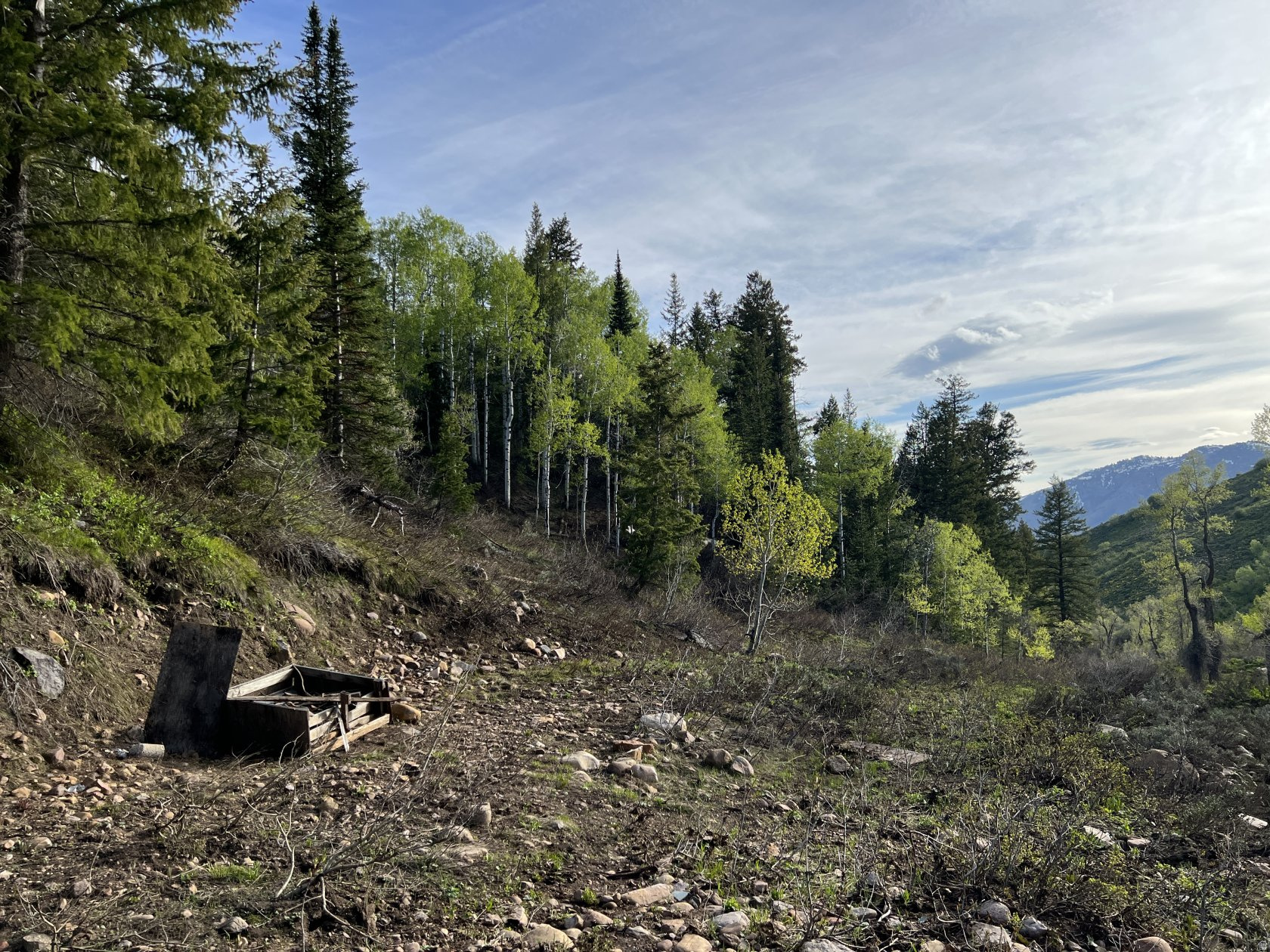 266 SUNRIDGE - TAX ID 230130266