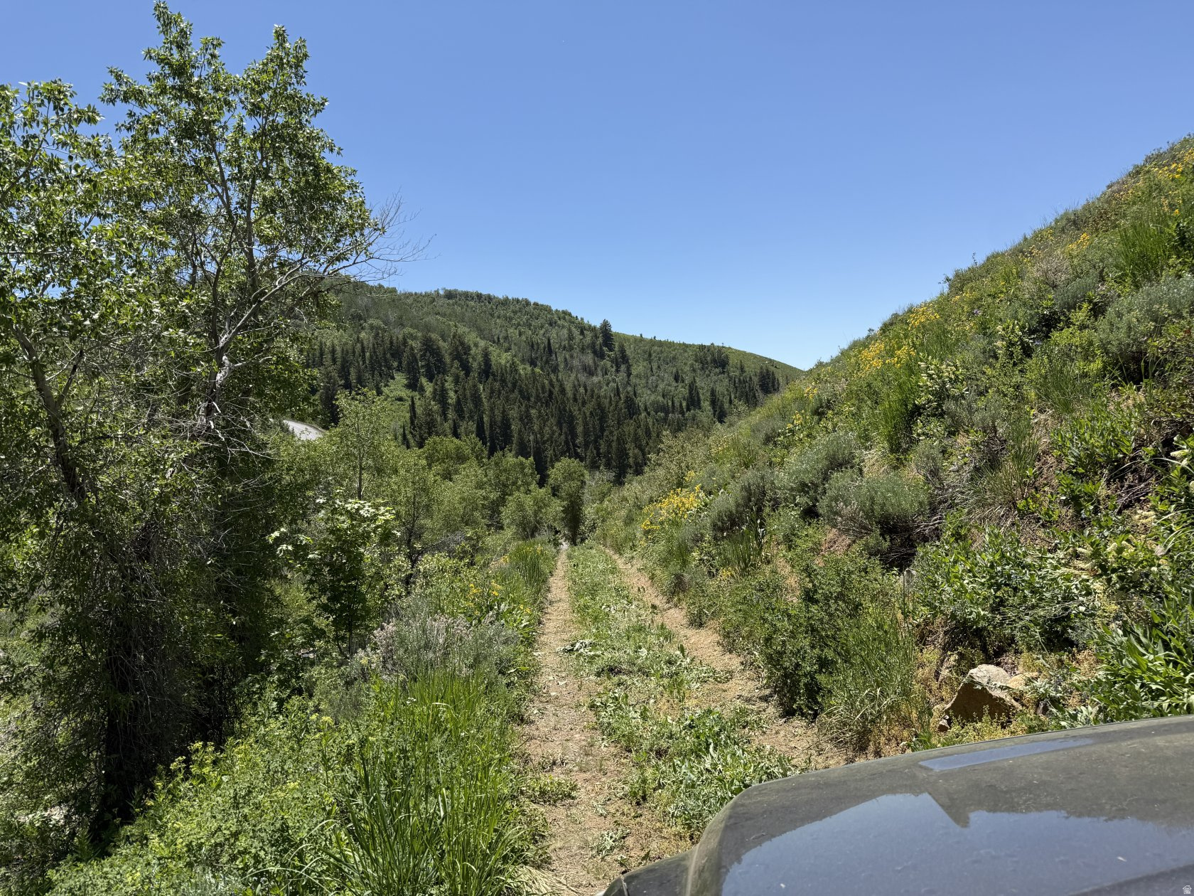 266 SUNRIDGE - TAX ID 230130266