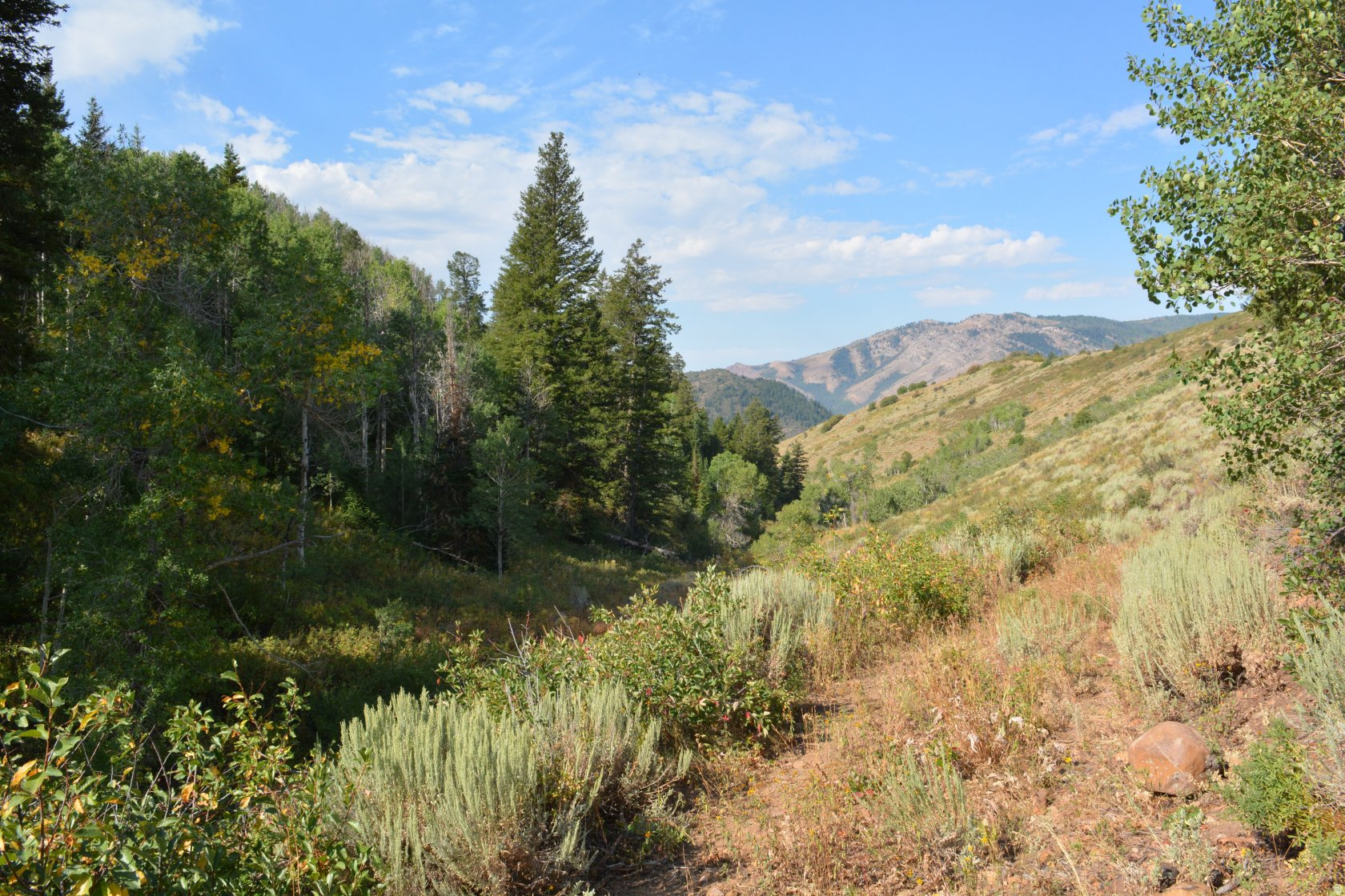 266 SUNRIDGE - TAX ID 230130266