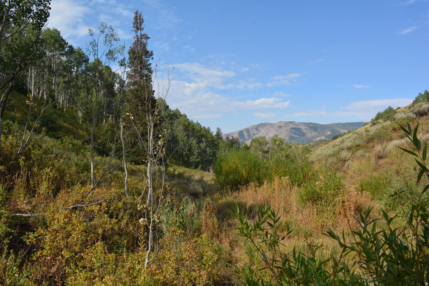 266 SUNRIDGE - TAX ID 230130266