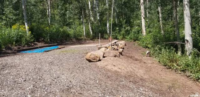 7565 N JIM BRIDGER DR Unit: H52